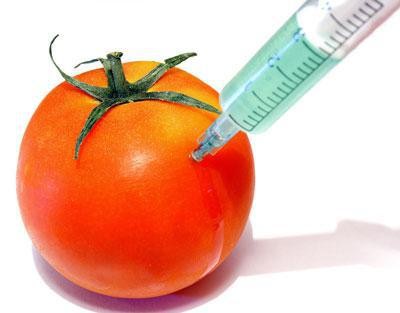 Початкова мета виведення ГМО