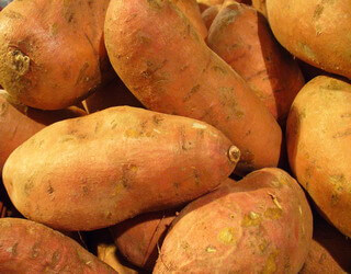 Ботанічна назва - батат, солодка картопля (Ipomoea batatas) - бульбоплідні рослина, рід Іпомея, сімейство берізка
