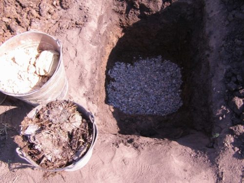 Багато садівники рекомендують готувати яму за 2-3 тижні (і навіть раніше), щоб грунт остаточно сформувався і осів, тоді саджанець НЕ буде провалюватися і зможе успішно вкоренитися