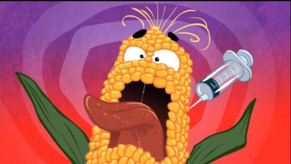 Інші ГМО-страшилки